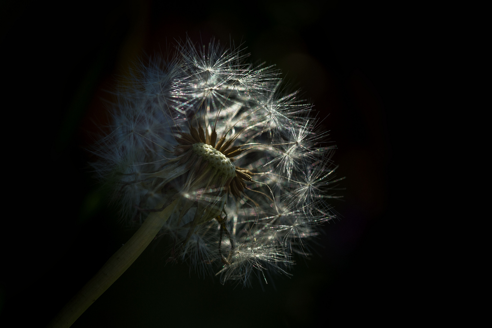 Licht und Schatten