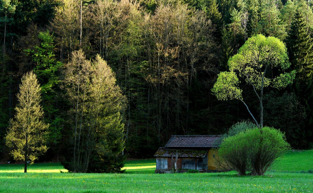 - Licht und Schatten -