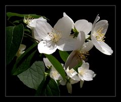 Licht und Schatten