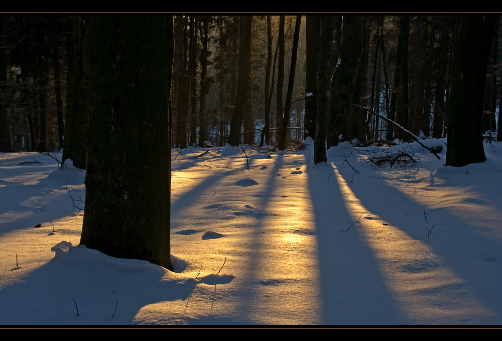 Licht und Schatten