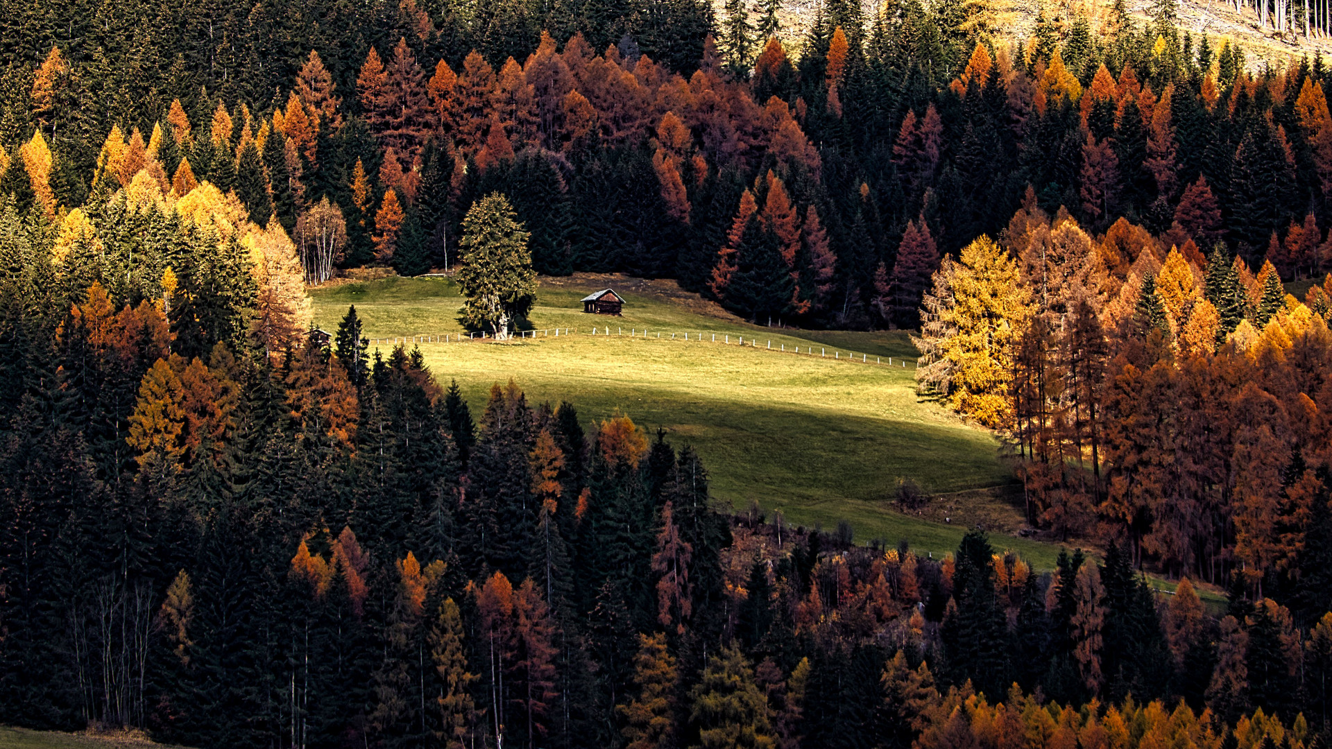 Licht und Schatten