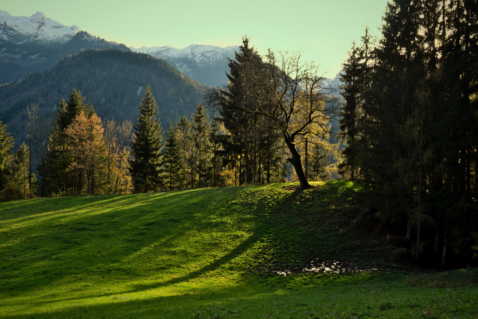 Licht und Schatten