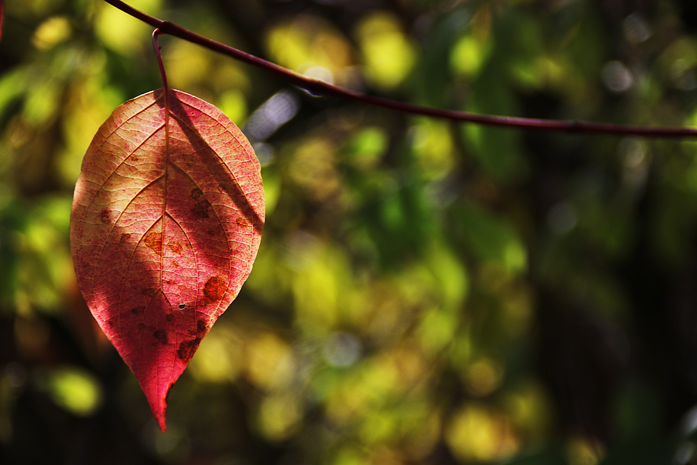 Licht und Schatten