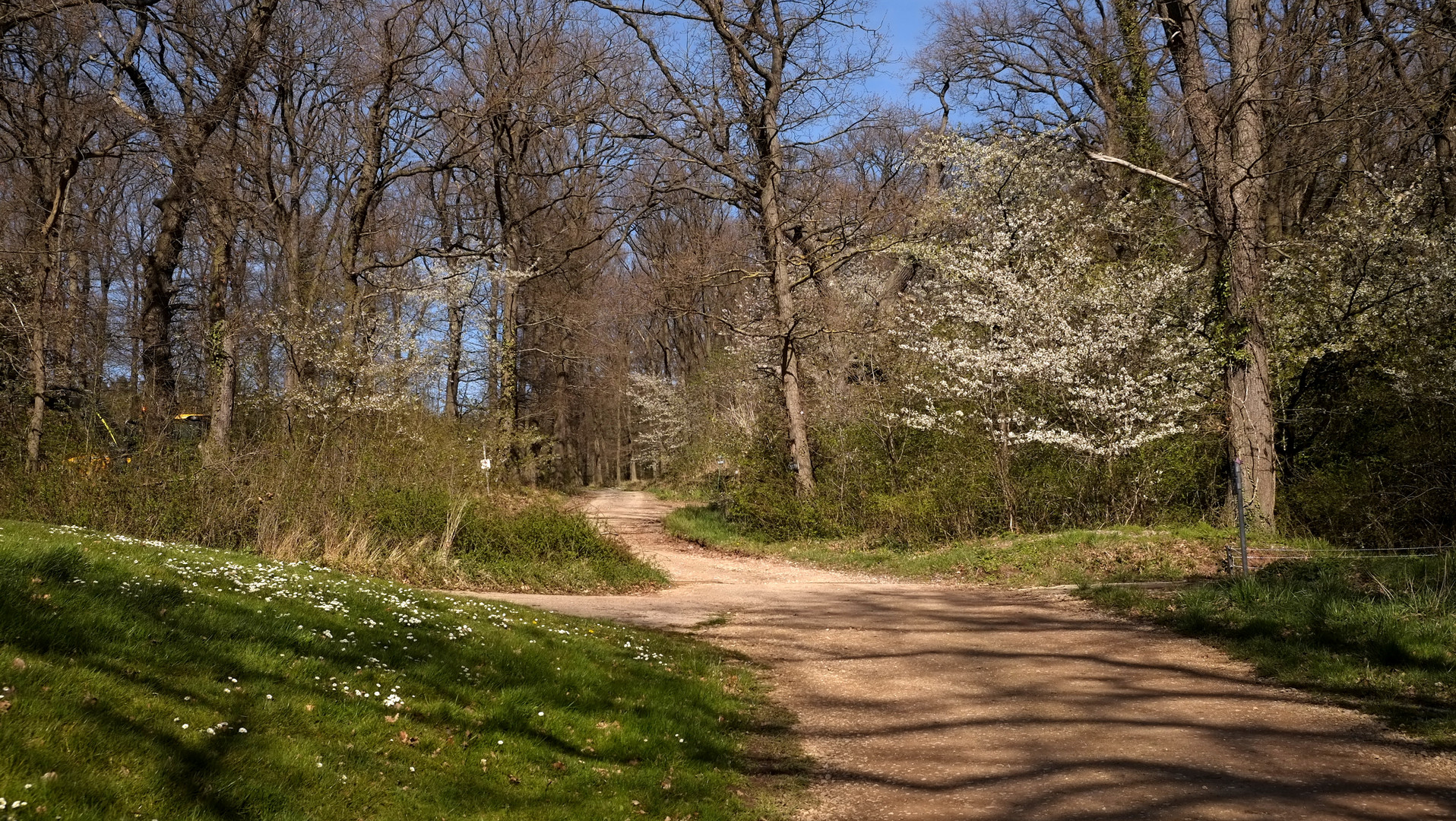 Licht und Schatten