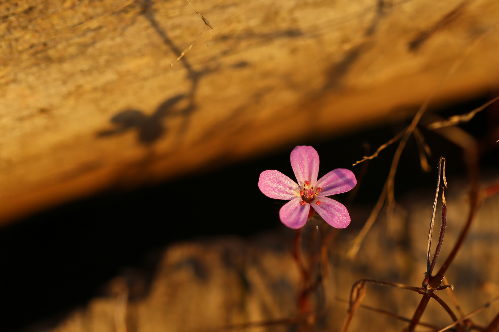 Licht und Schatten