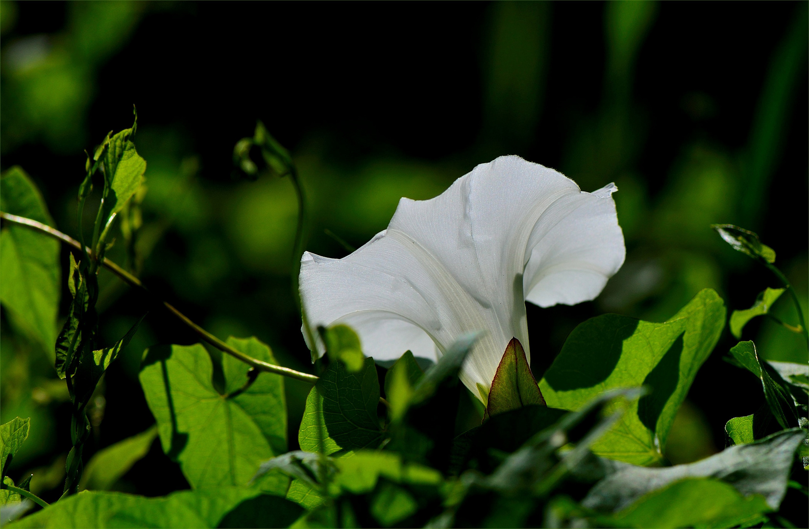 Licht und Schatten...