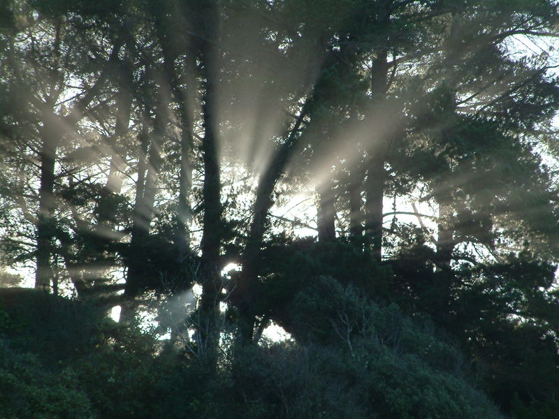 Licht und Schatten.