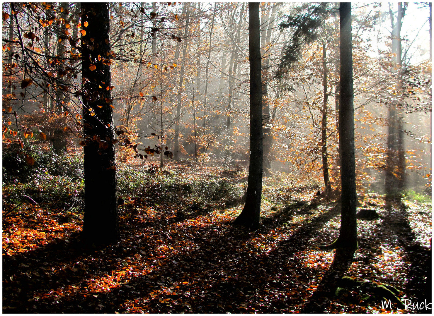 Licht und Schatten !