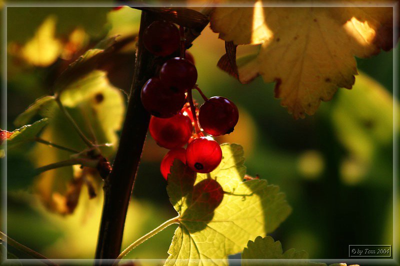 Licht und Schatten