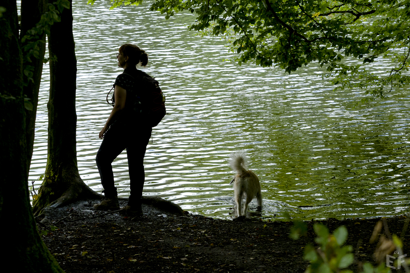 Licht und Schatten