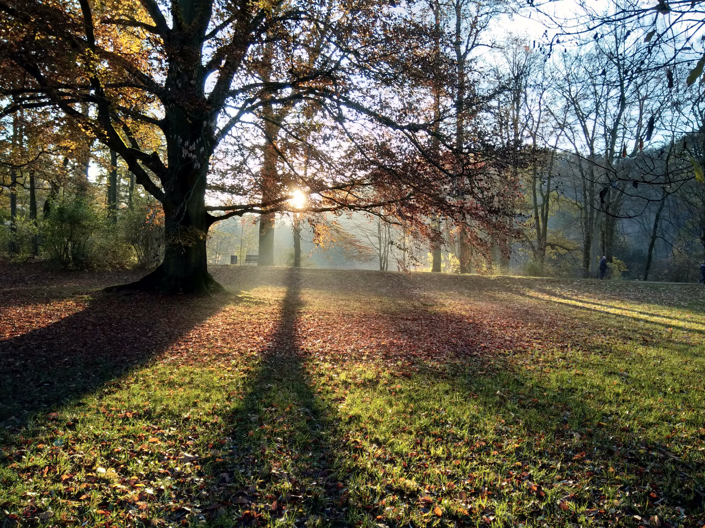 Licht und Schatten