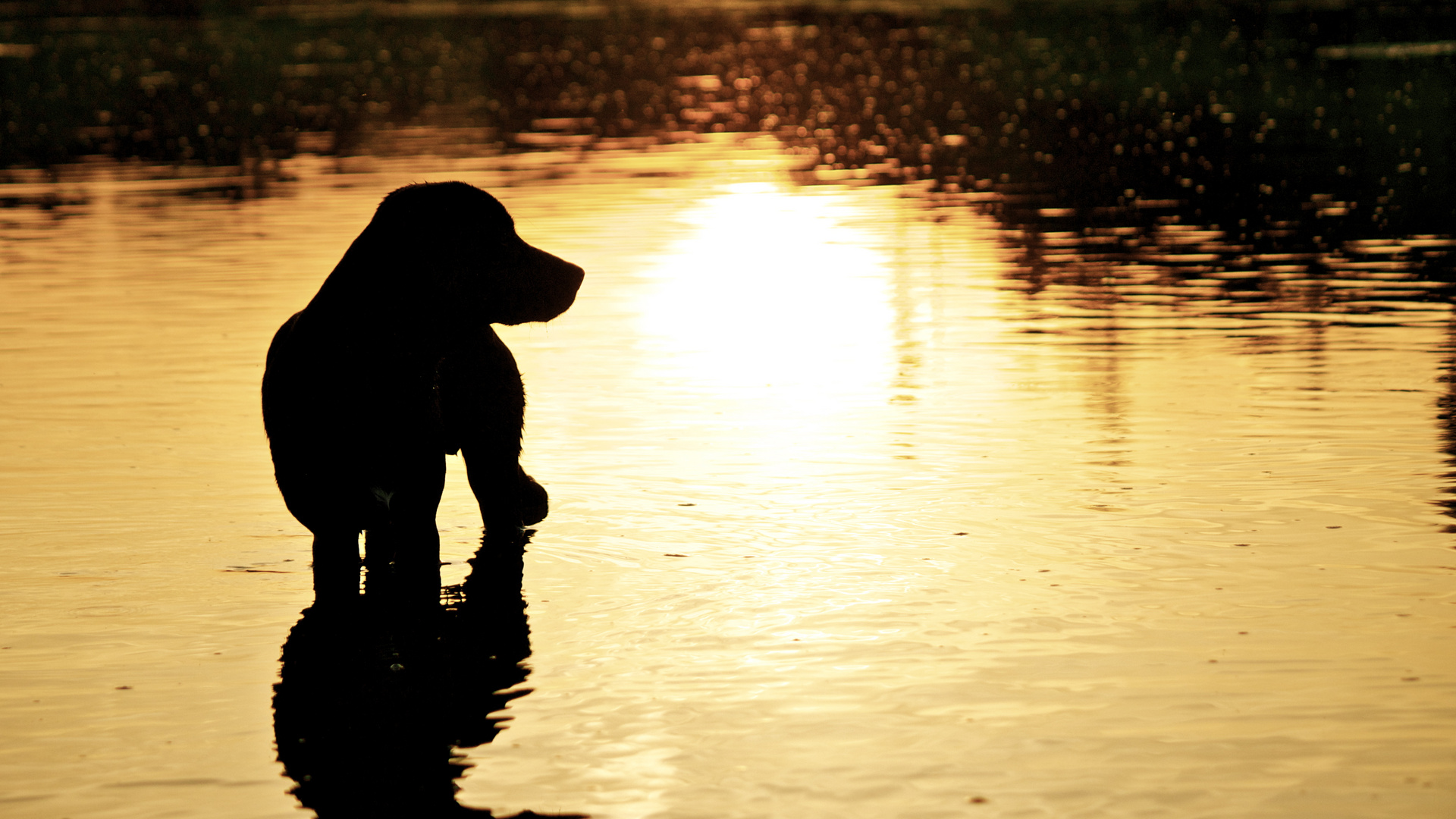 Licht und Schatten