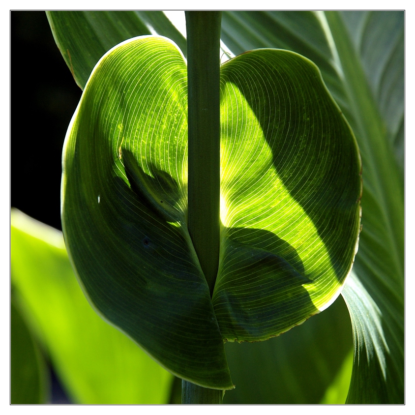 Licht und Schatten