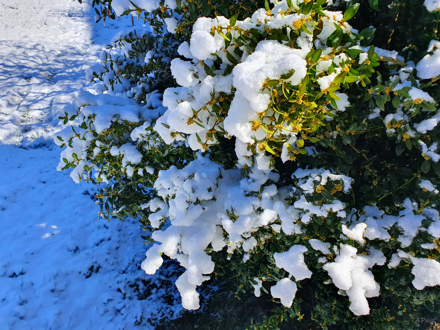 Licht und Schatten