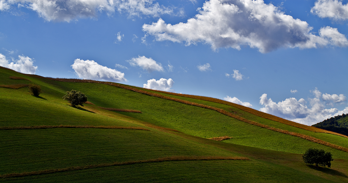 Licht und Schatten