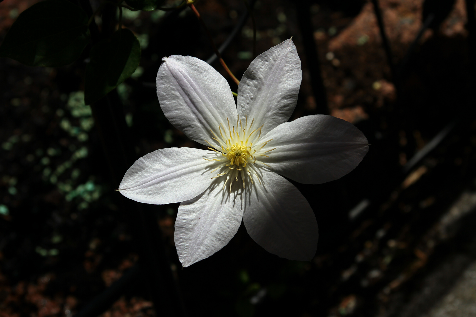 Licht und Schatten