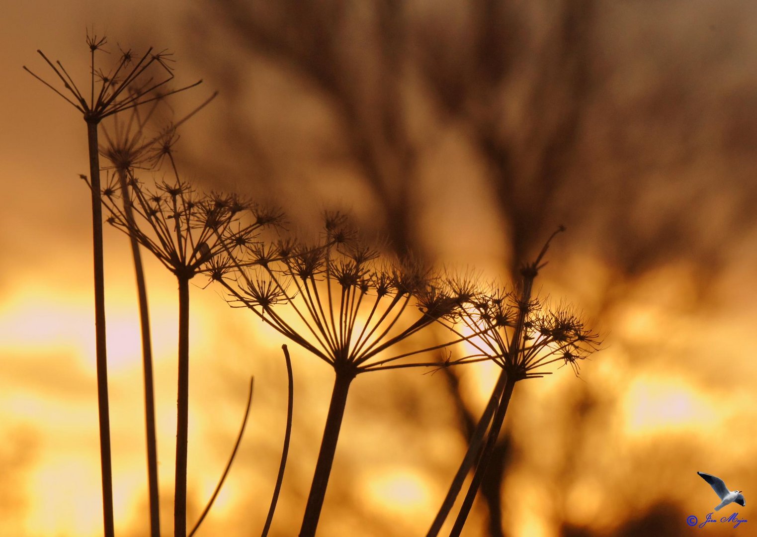 Licht und Schatten