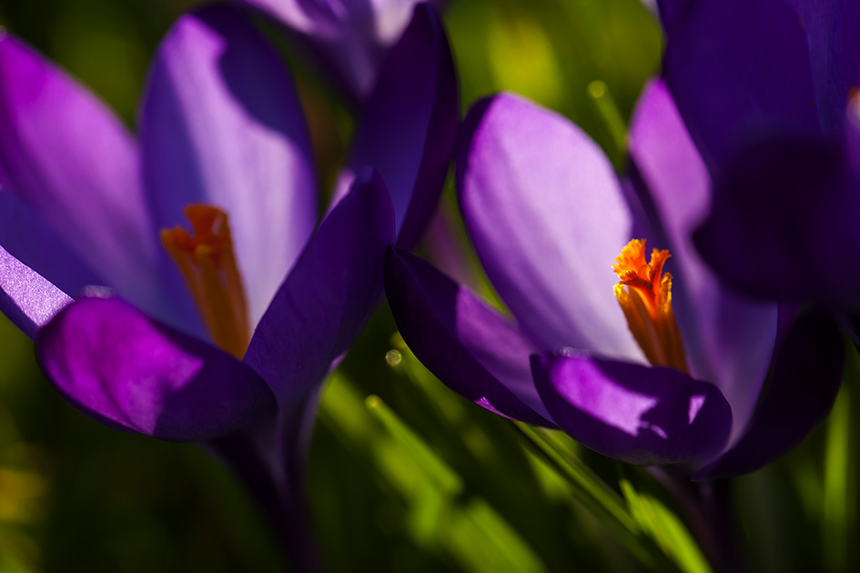 Licht und Schatten