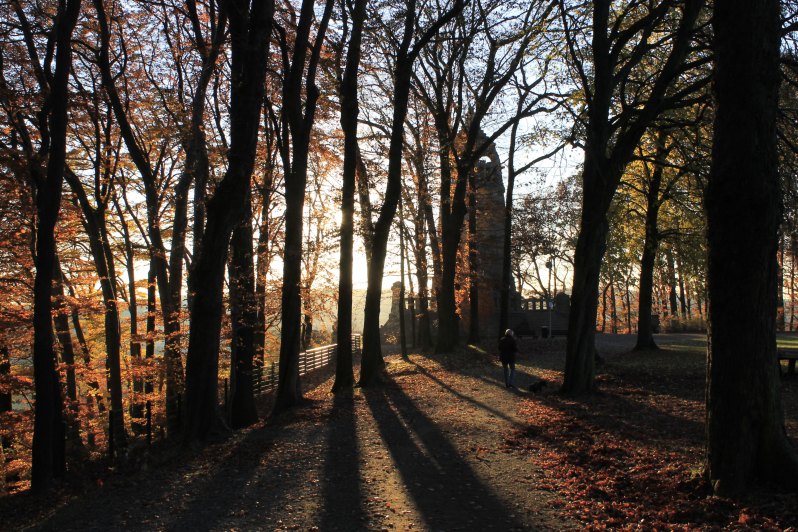 Licht und Schatten