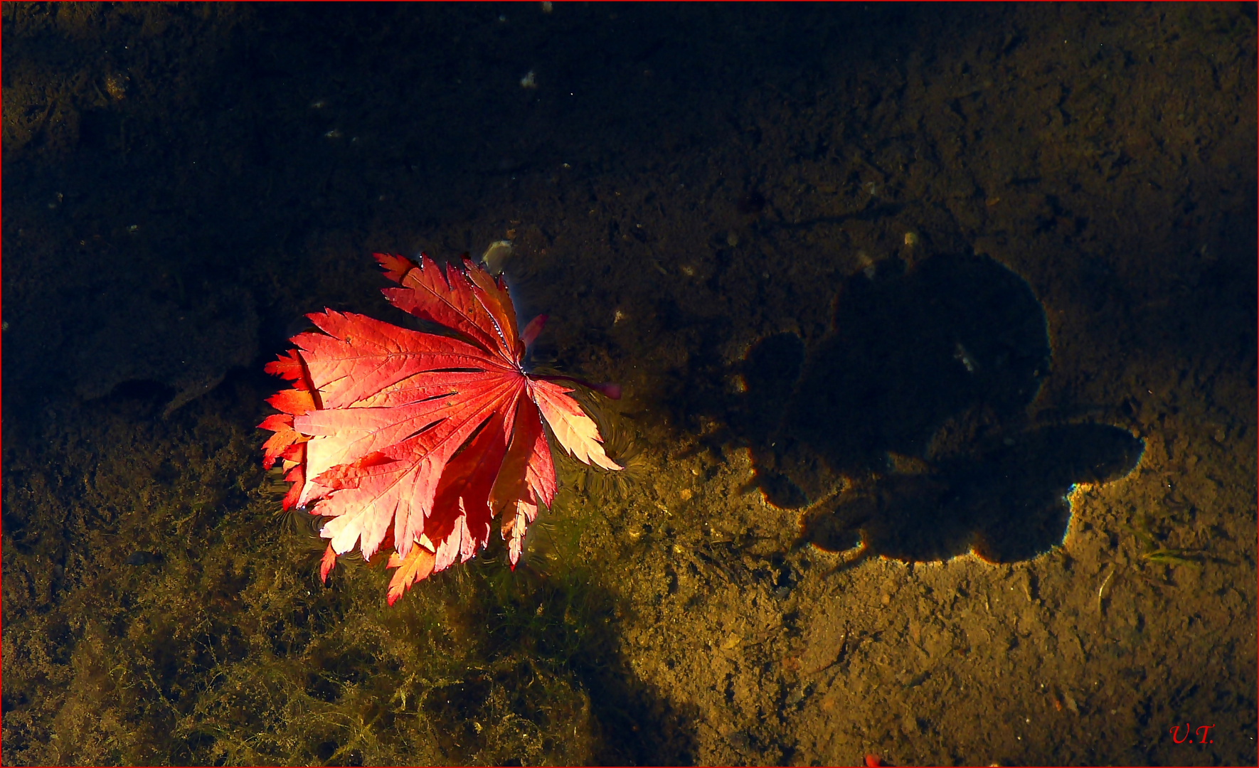 Licht und Schatten