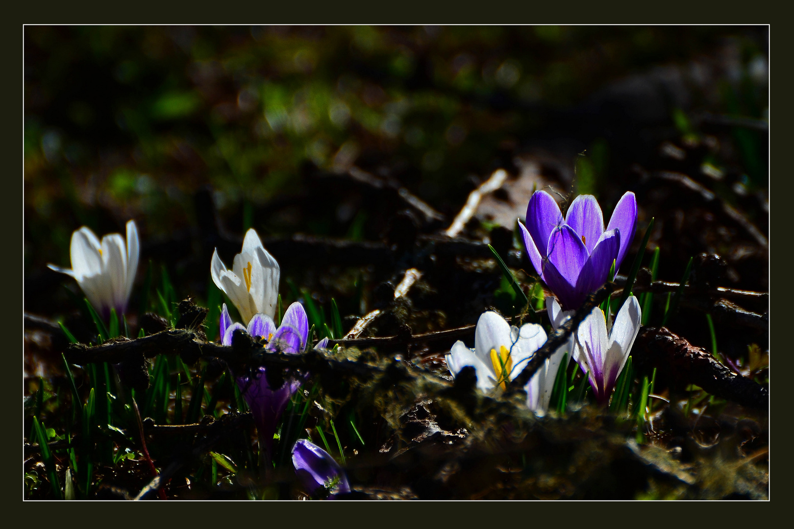 Licht und Schatten