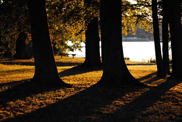 "Licht und Schatten"