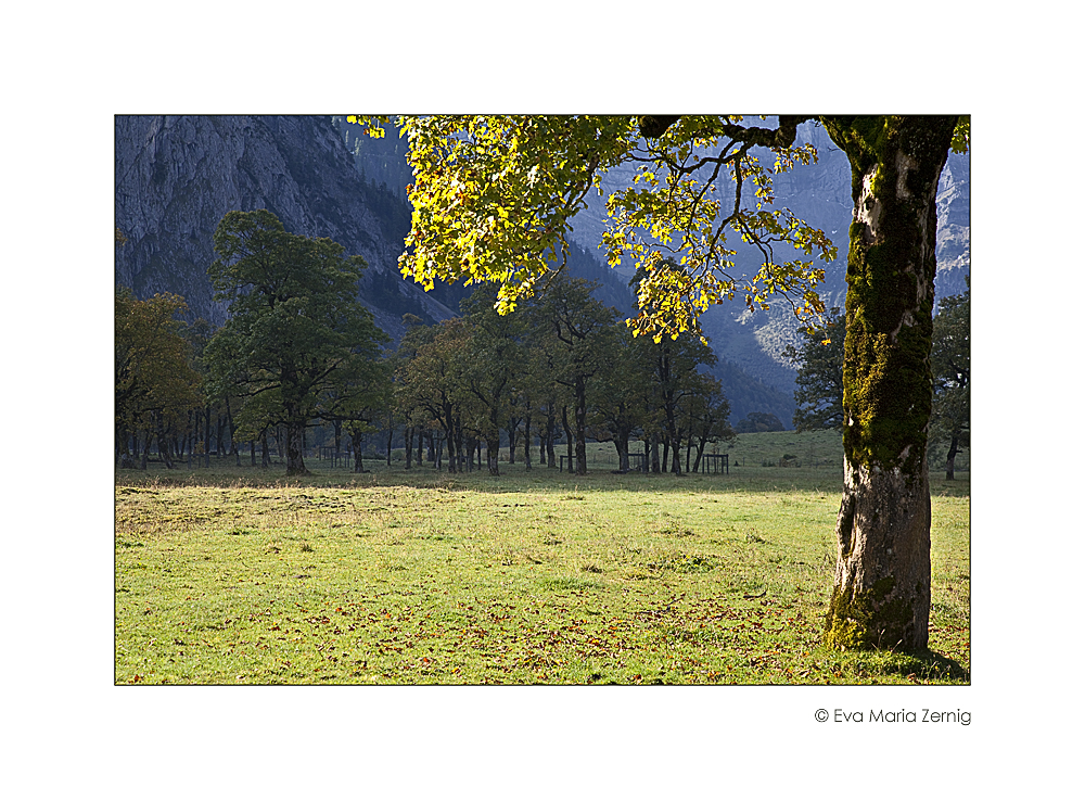 Licht und Schatten