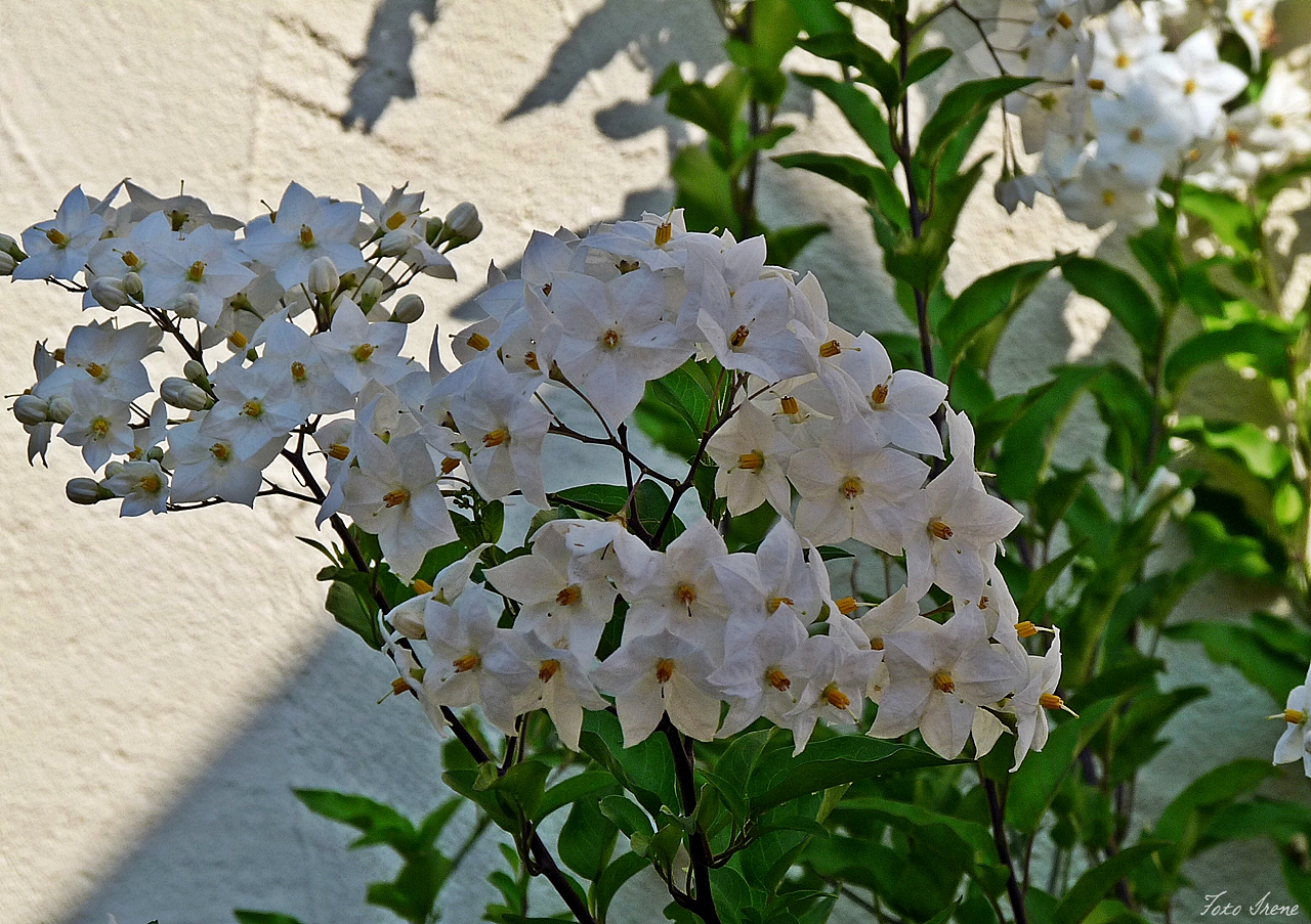 Licht und Schatten