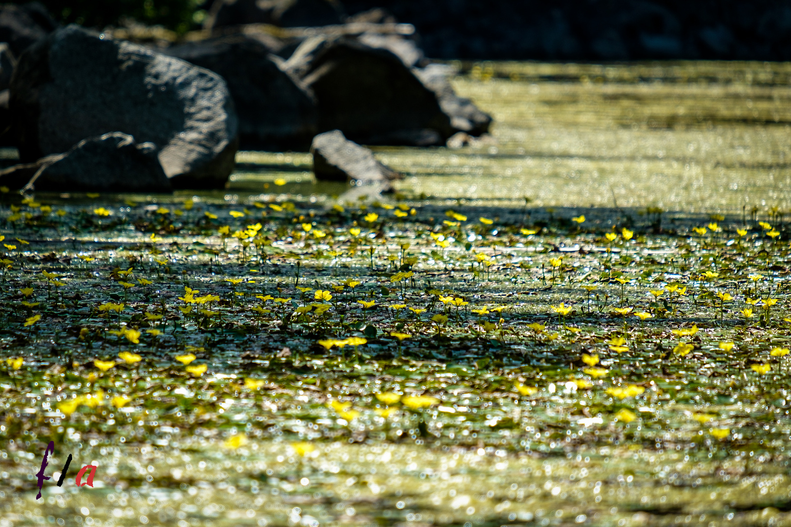 Licht und Schatten