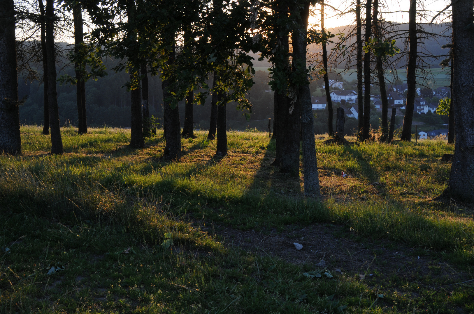 Licht und Schatten