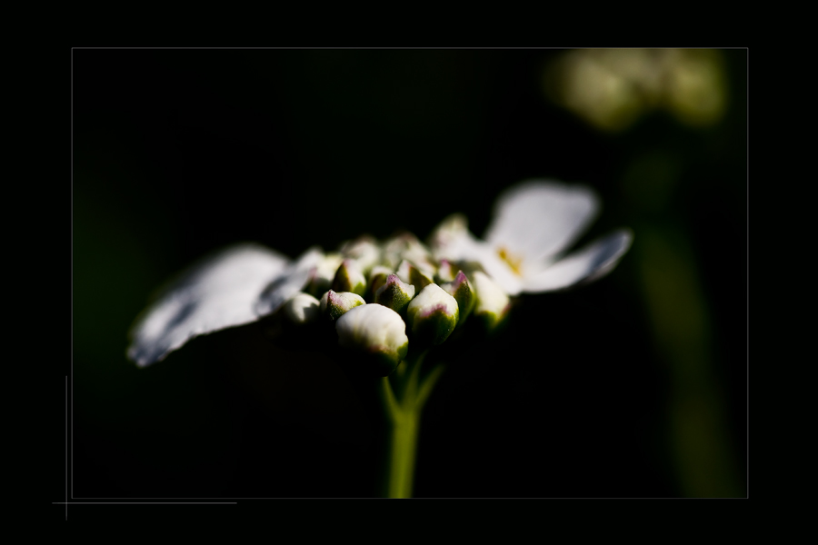 Licht und Schatten