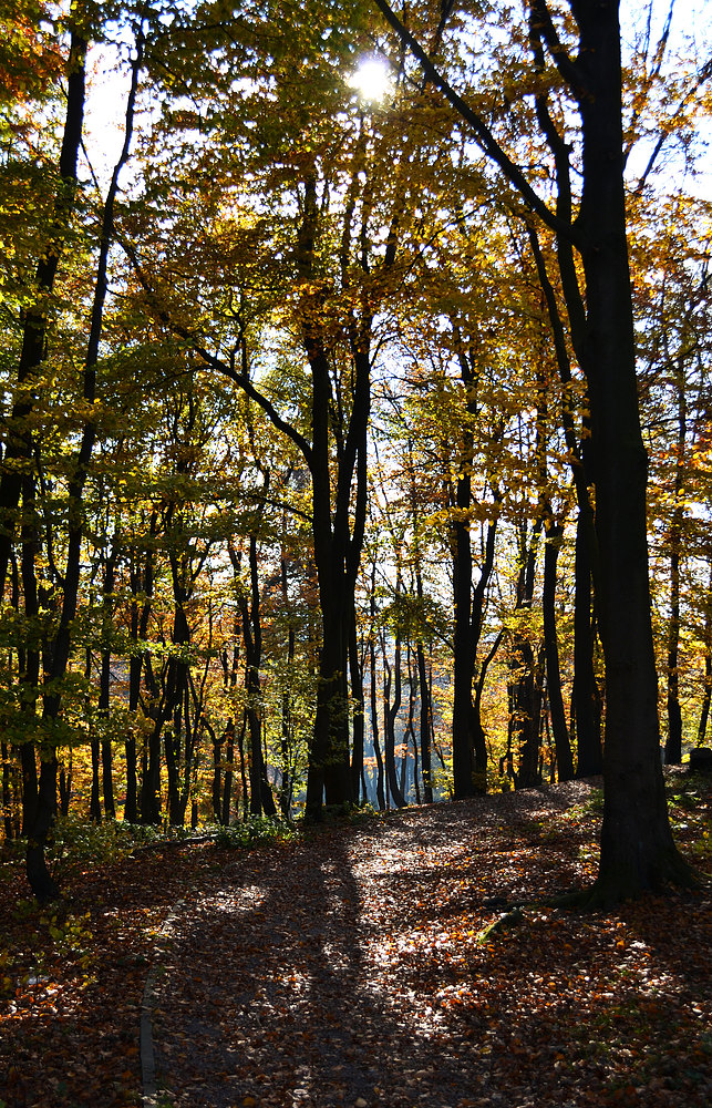 Licht und Schatten