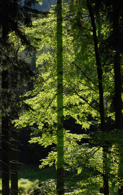 licht und schatten