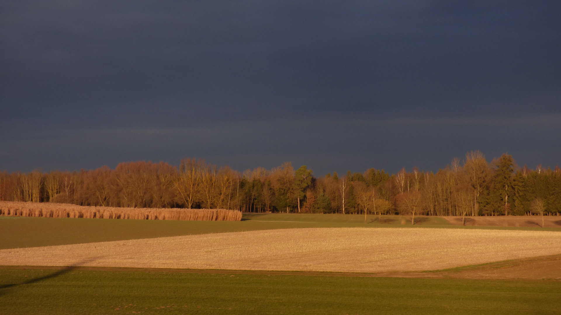 Licht und Schatten 