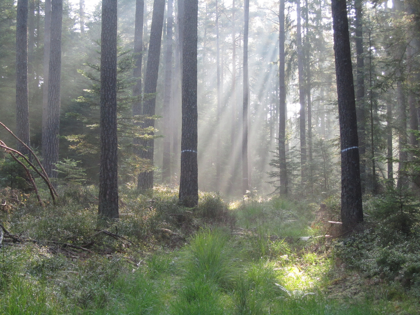 Licht und Schatten...