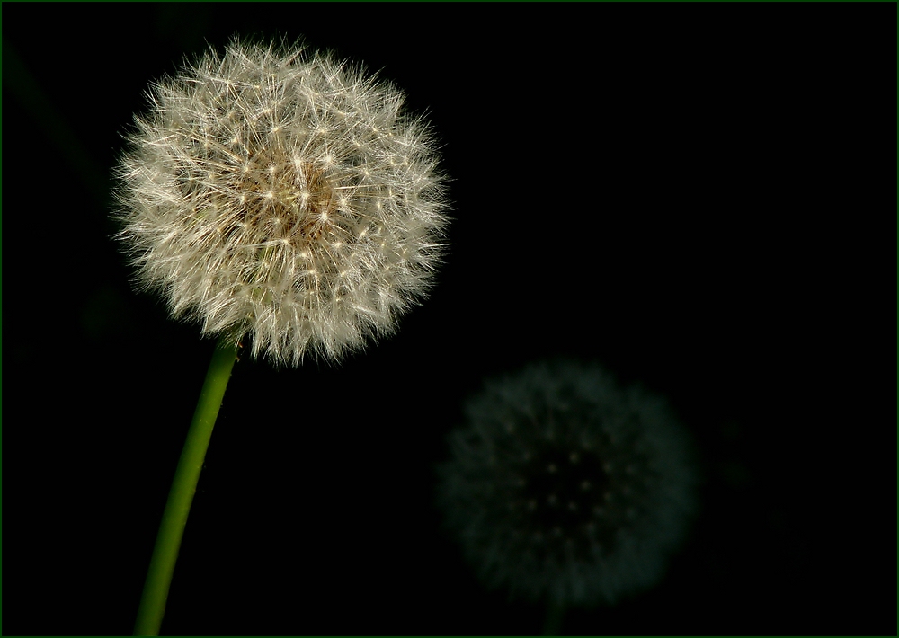 Licht und Schatten