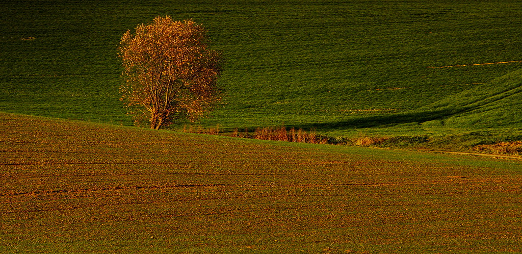 Licht und Schatten