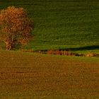 Licht und Schatten