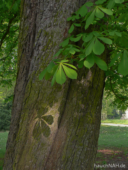 Licht und Schatten