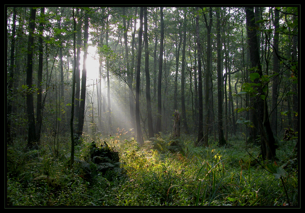 Licht und Schatten