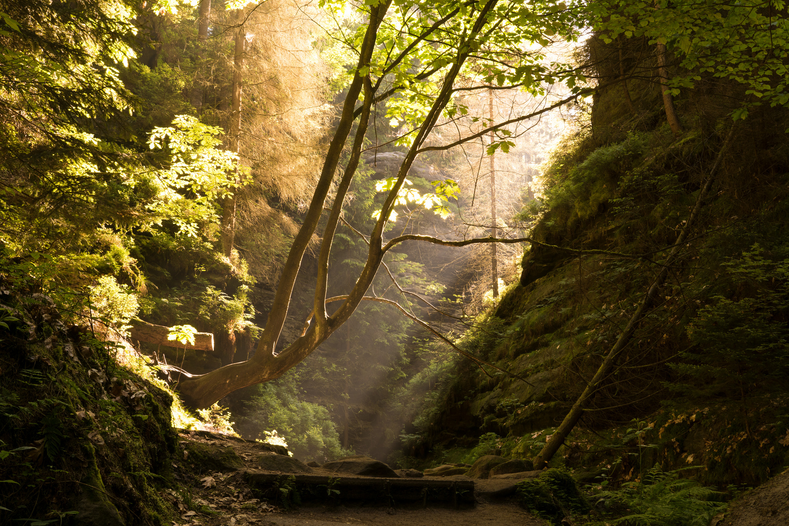 Licht und Schatten