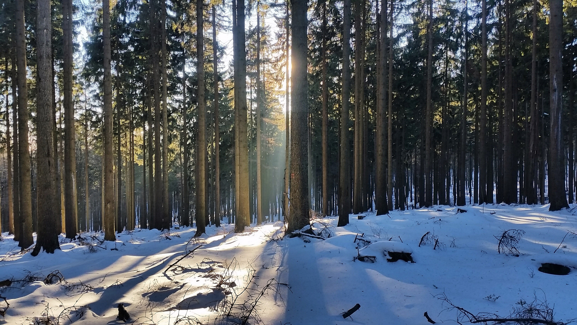 Licht und Schatten