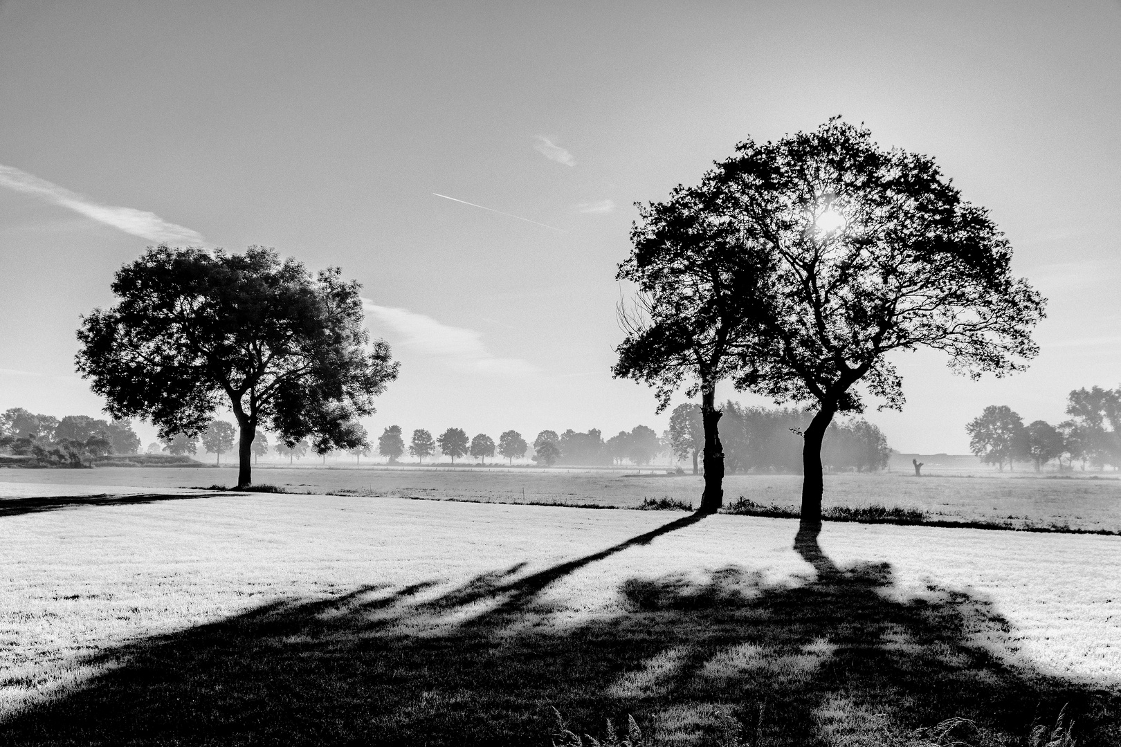 Licht und Schatten