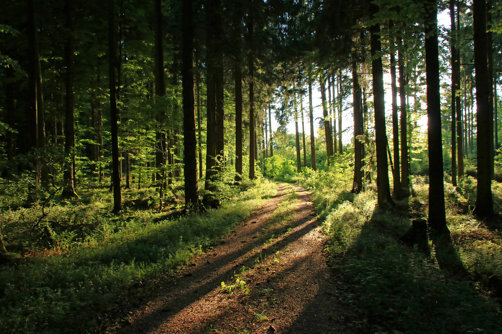 licht und schatten