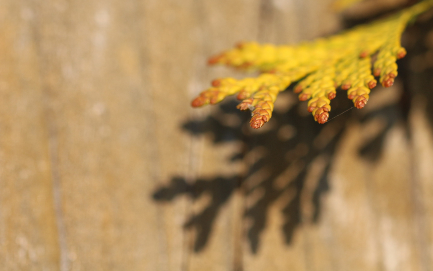 Licht und Schatten