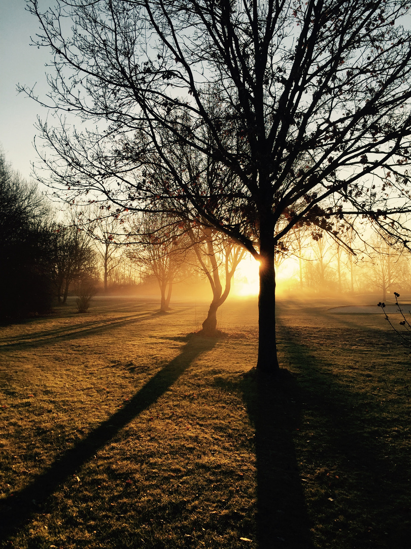 Licht und Schatten