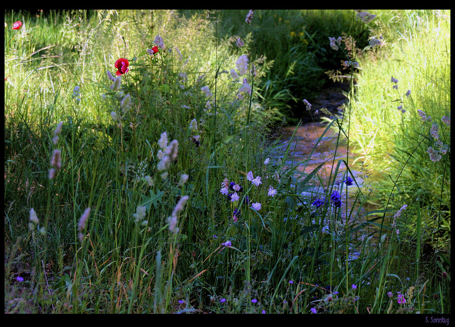 Licht und Schatten