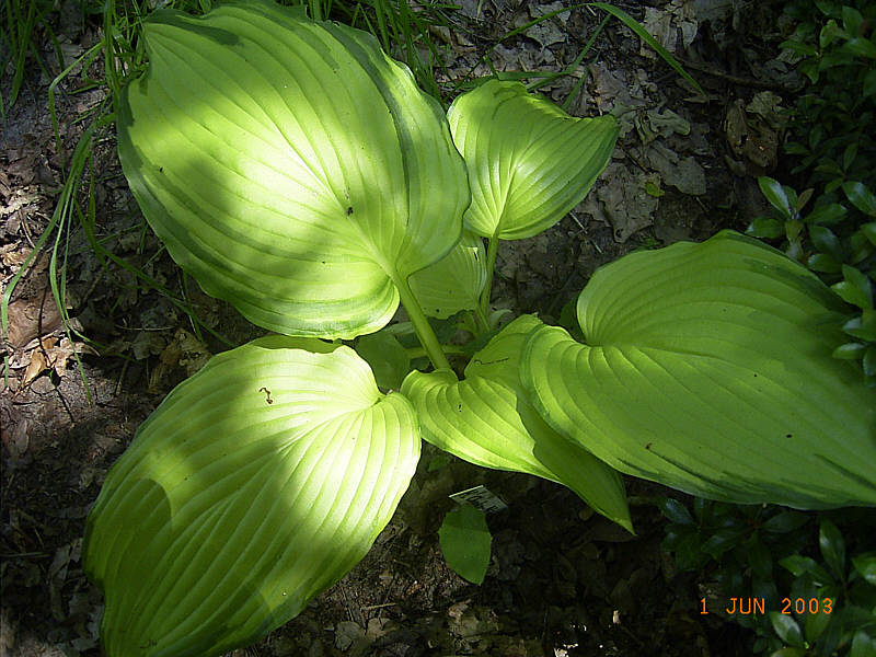 Licht und Schatten