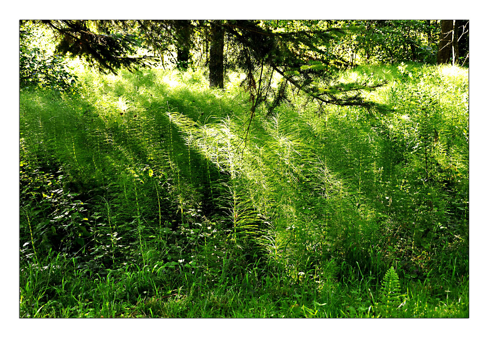 licht und schatten