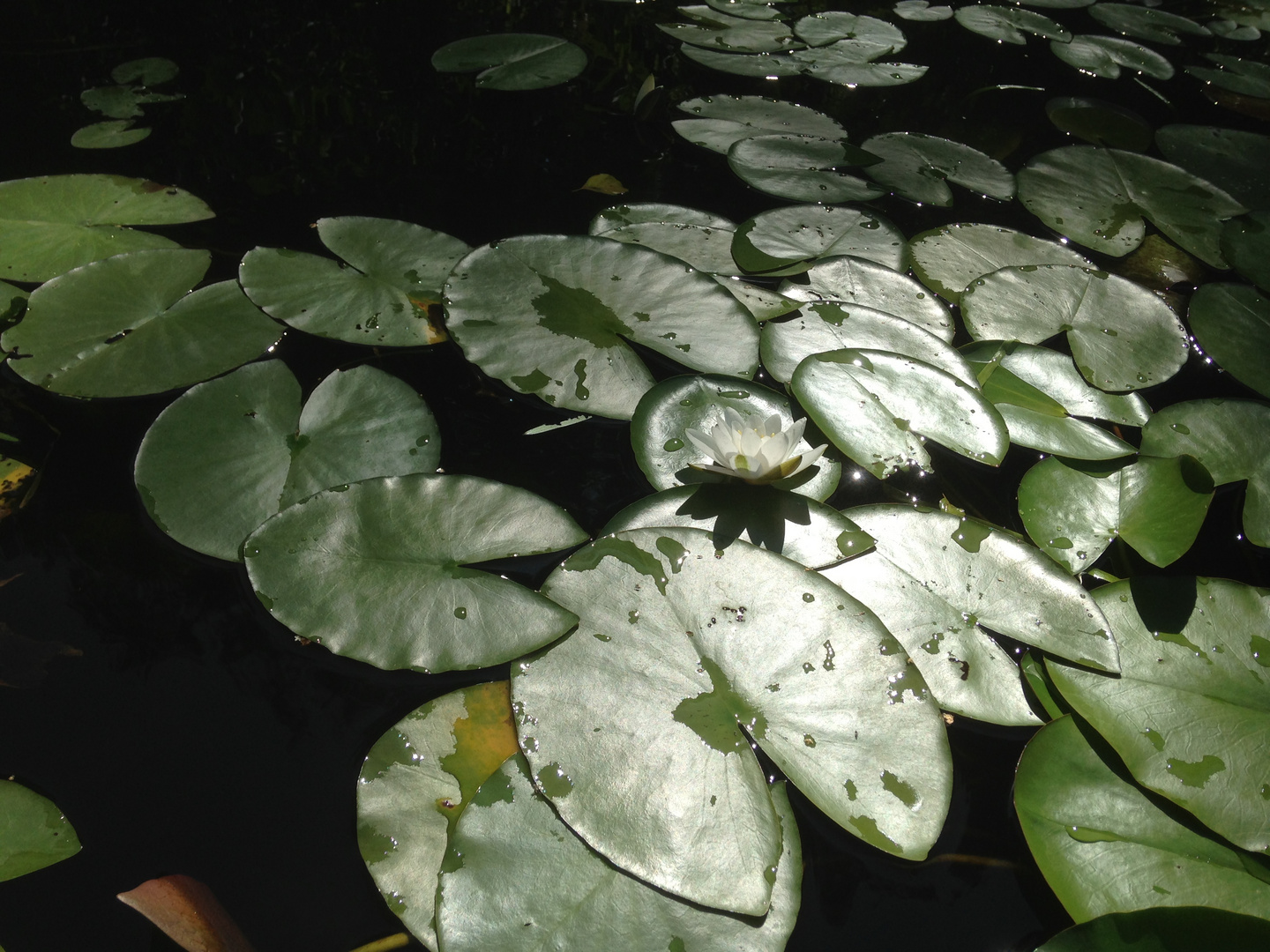 Licht und Schatten